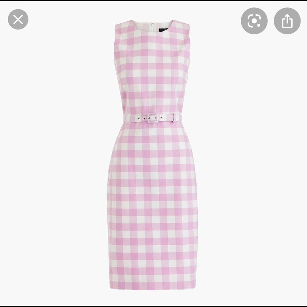 J Crew size 2 Pink Belted Gingham Dress